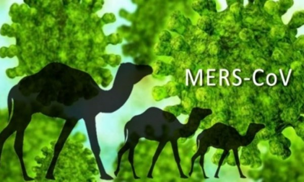 WHO thông báo một trường hợp dương tính với MERS tại Abu Dhabi
